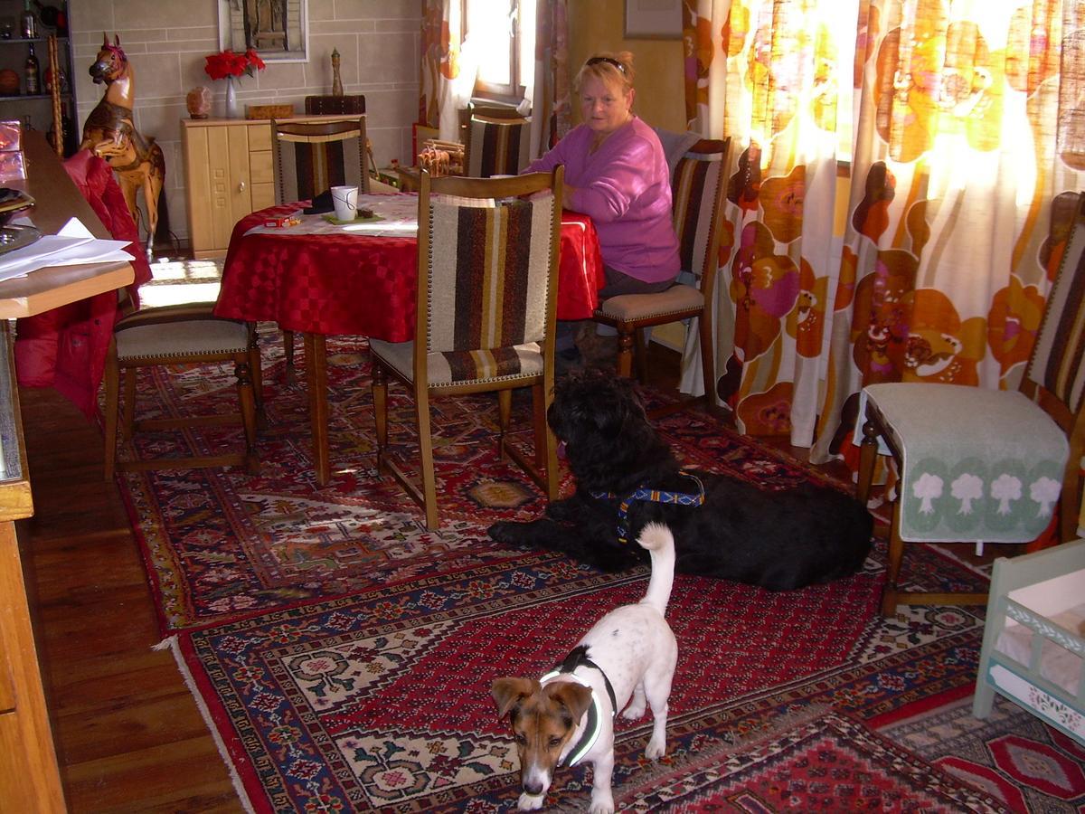 مبيت وإفطار Uzwil Wohlfuehloase Fuer Mensch Und Hund المظهر الخارجي الصورة